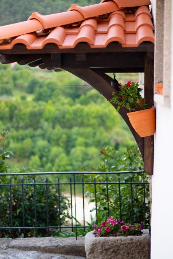 Quinta Do Tapadinho - Wine & Tourism Villa Moimenta Kültér fotó