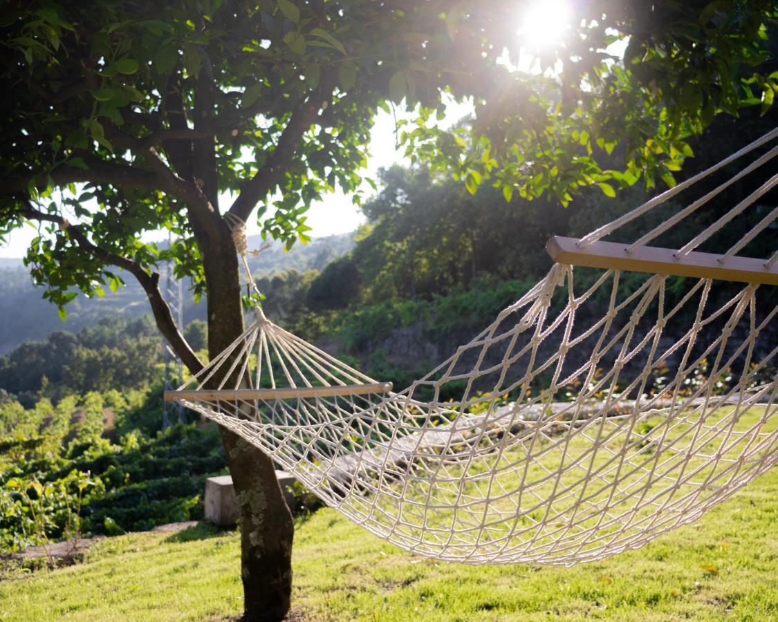 Quinta Do Tapadinho - Wine & Tourism Villa Moimenta Kültér fotó