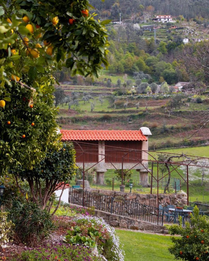 Quinta Do Tapadinho - Wine & Tourism Villa Moimenta Kültér fotó