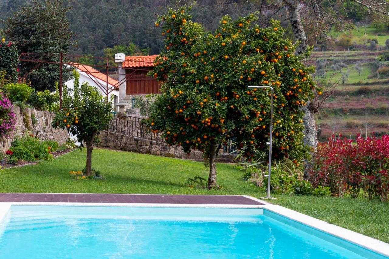 Quinta Do Tapadinho - Wine & Tourism Villa Moimenta Kültér fotó