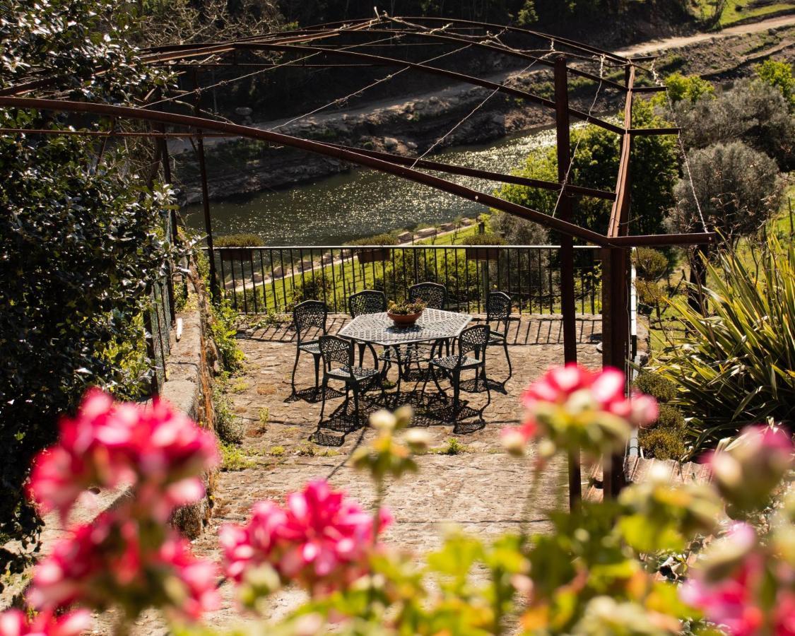 Quinta Do Tapadinho - Wine & Tourism Villa Moimenta Kültér fotó