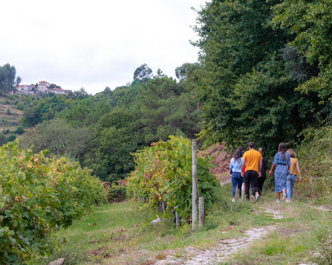 Quinta Do Tapadinho - Wine & Tourism Villa Moimenta Kültér fotó