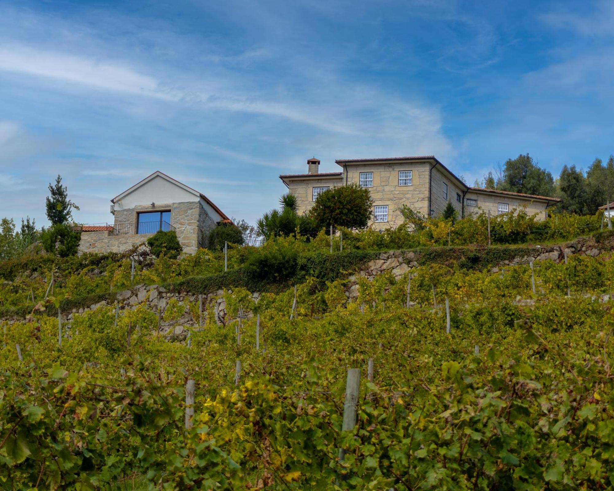 Quinta Do Tapadinho - Wine & Tourism Villa Moimenta Kültér fotó