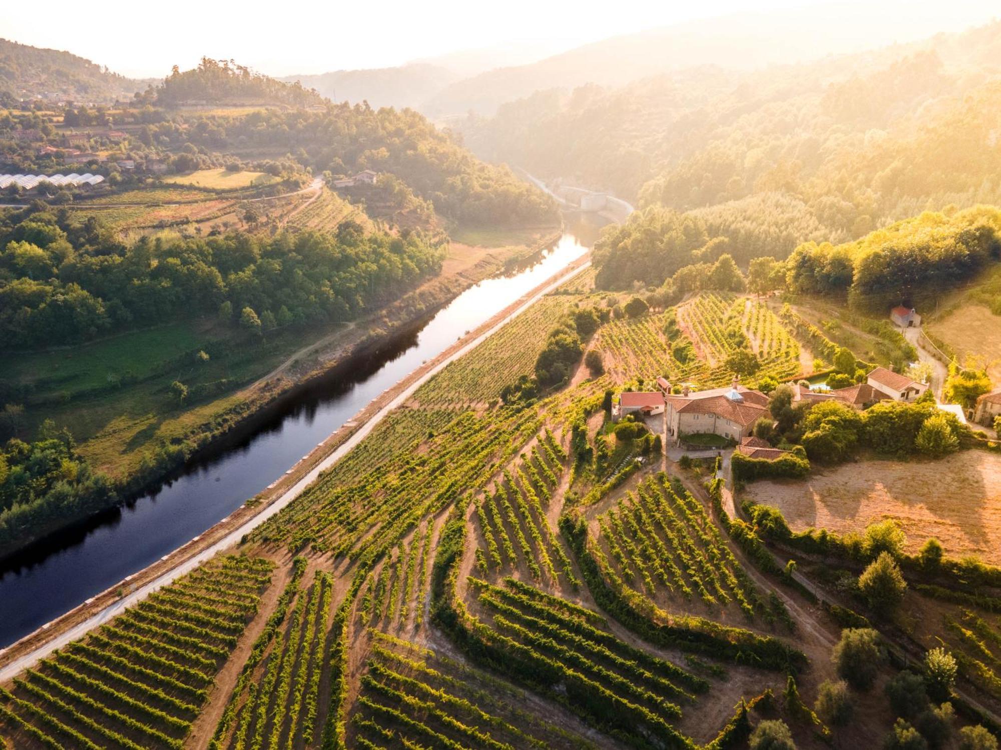 Quinta Do Tapadinho - Wine & Tourism Villa Moimenta Kültér fotó